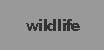 wildlife button