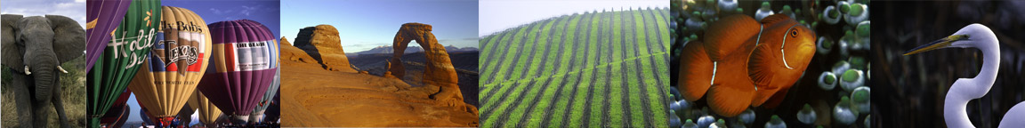 Ambient Light Banner